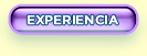 Experiencia
