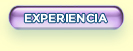 Experiencia